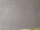 image of grave number 647234